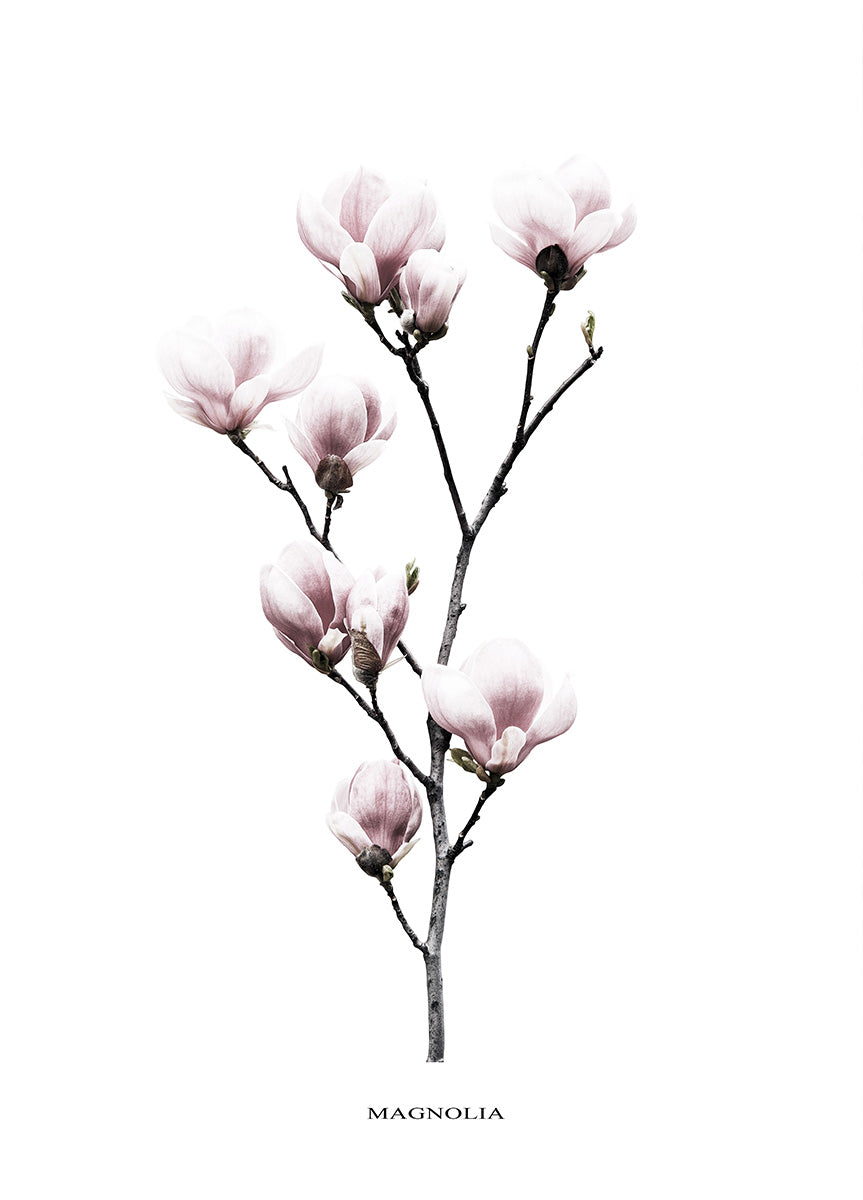 Ljuddämpande tavla - Twig