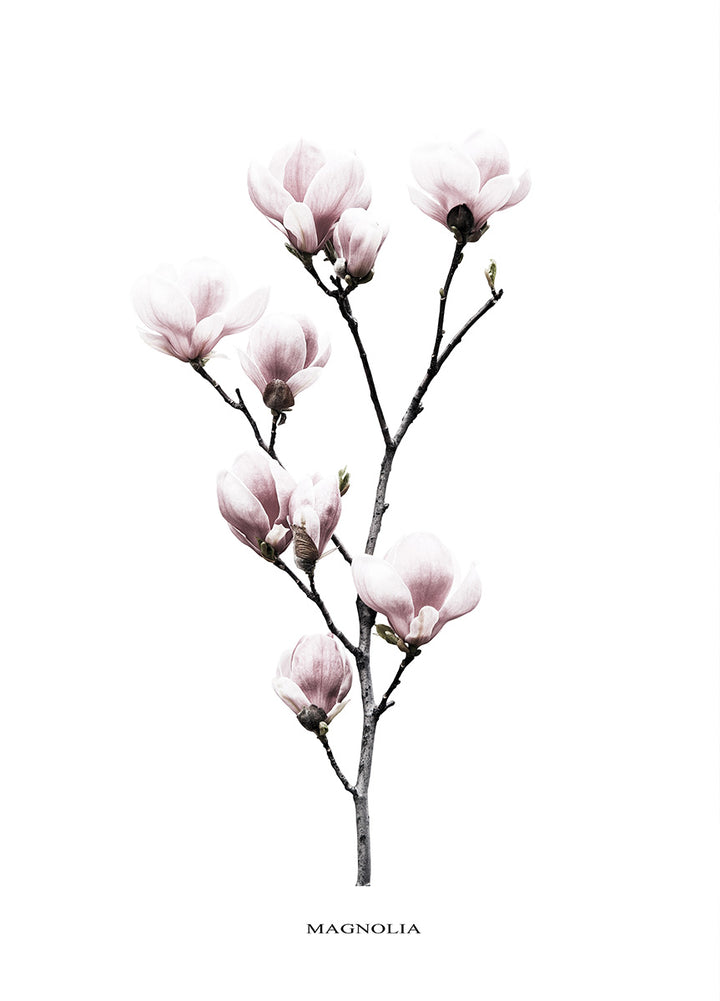Ljuddämpande tavla - Twig