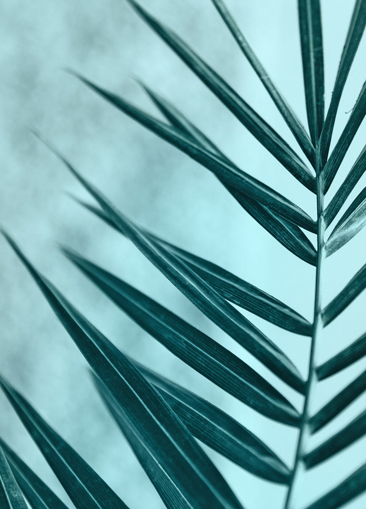 Ljuddämpande tavla - Palm