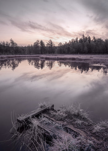 Ljuddämpande tavla - Winter Sunrise