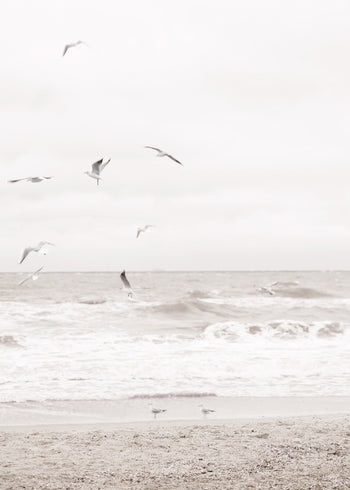 Ljuddämpande tavla - Soar Over The Sea