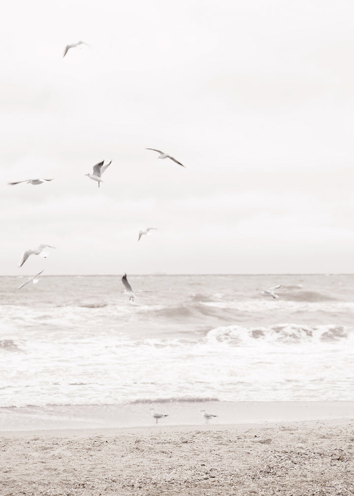 Ljuddämpande tavla - Soar Over The Sea