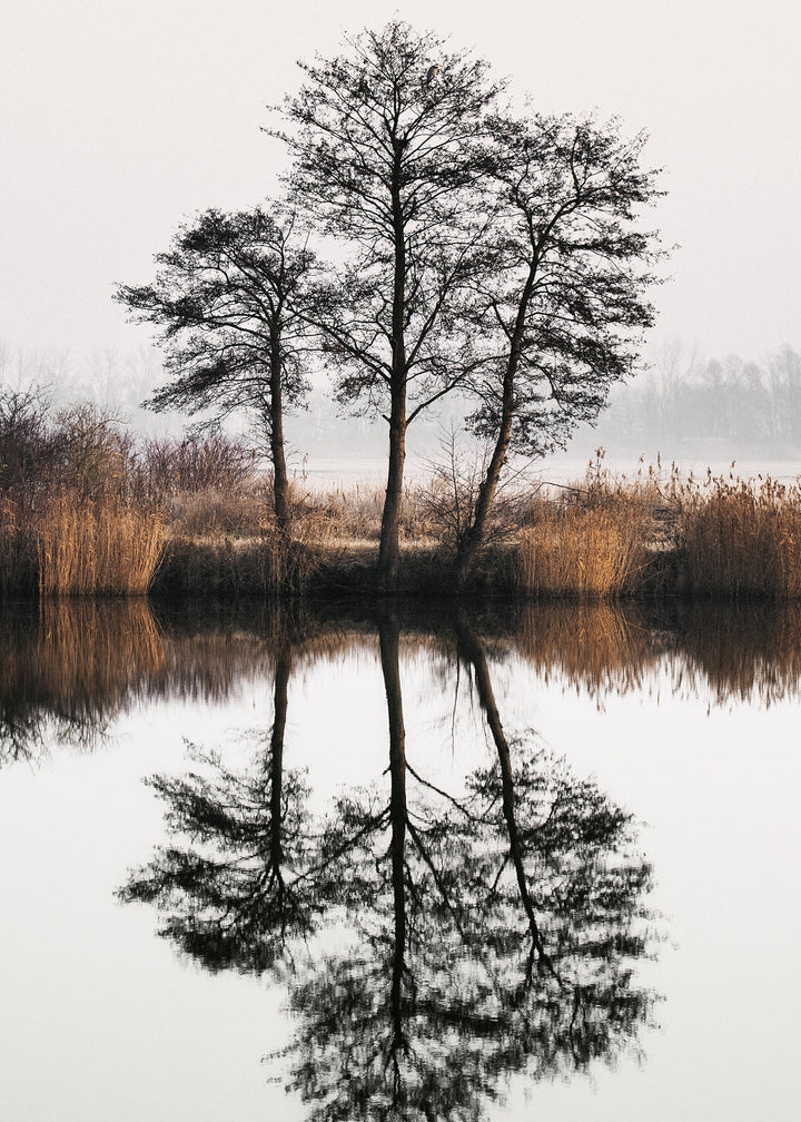 Ljuddämpande tavla - Tree Lake and Reflections