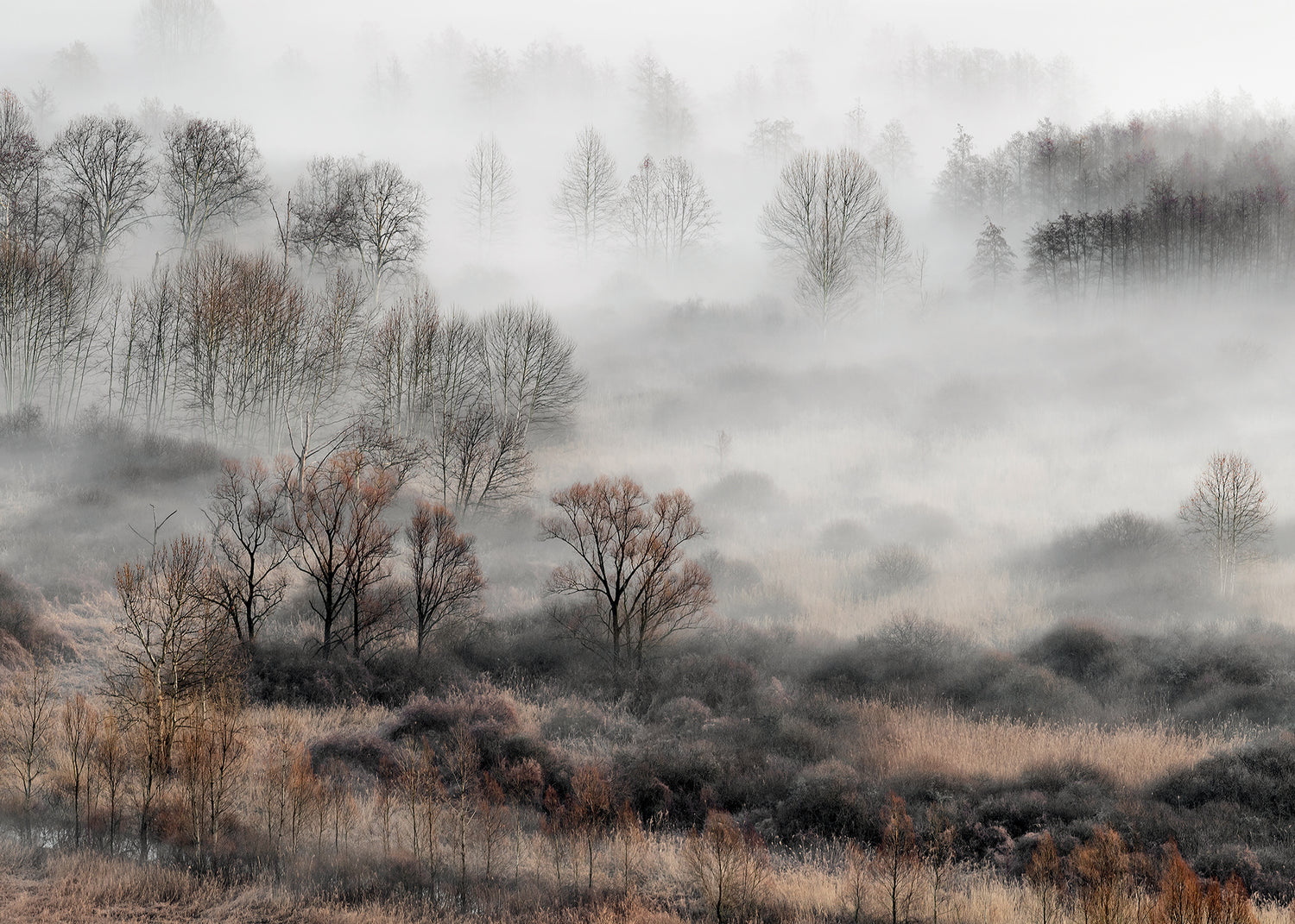 Ljuddämpande tavla - Foggy Morning