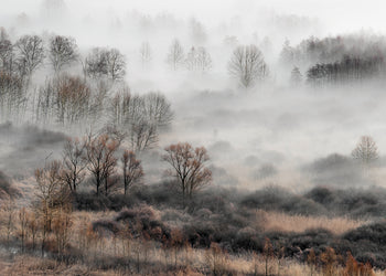 Ljuddämpande tavla - Foggy Morning