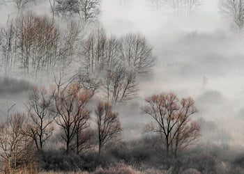 Ljuddämpande tavla - Foggy Morning
