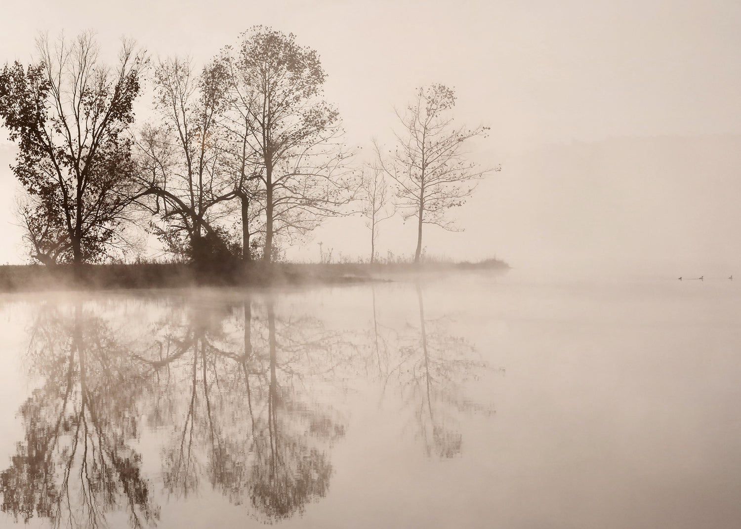 Ljuddämpande tavla - Poetic Lake