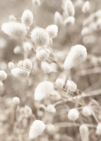 Ljuddämpande tavla - Fluffy
