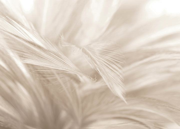 Ljuddämpande tavla - Soft Feathers