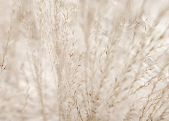 Ljuddämpande tavla - Autumn Fields