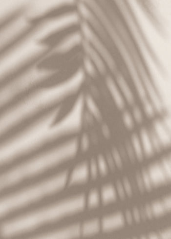 Ljuddämpande tavla - Palm and Shadows