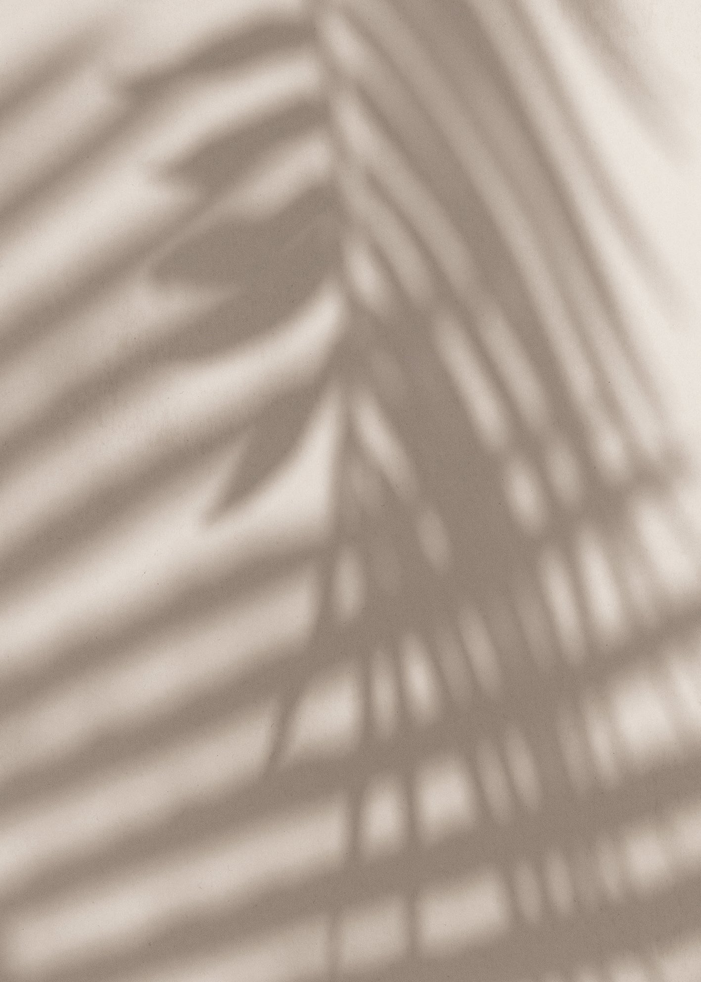 Ljuddämpande tavla - Palm and Shadows