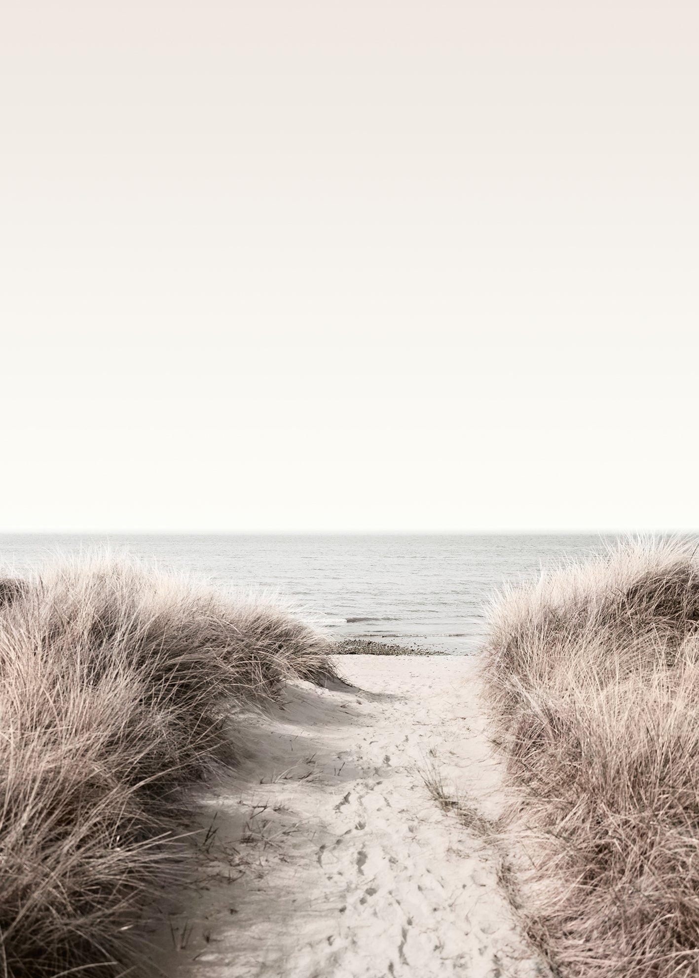 Ljuddämpande tavla - Ocean Shore