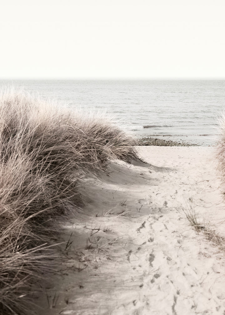 Ljuddämpande tavla - Ocean Shore