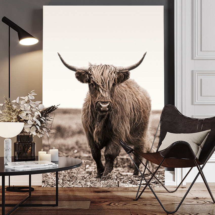 Ljuddämpande tavla - Highland Cattle