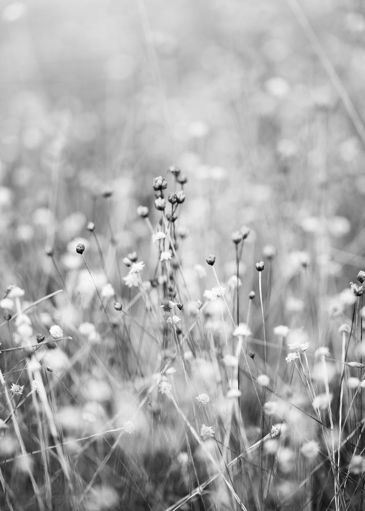 Ljuddämpande tavla - Gray Field