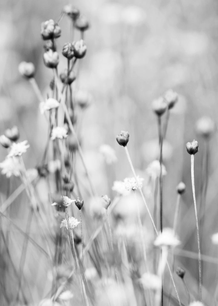 Ljuddämpande tavla - Gray Field