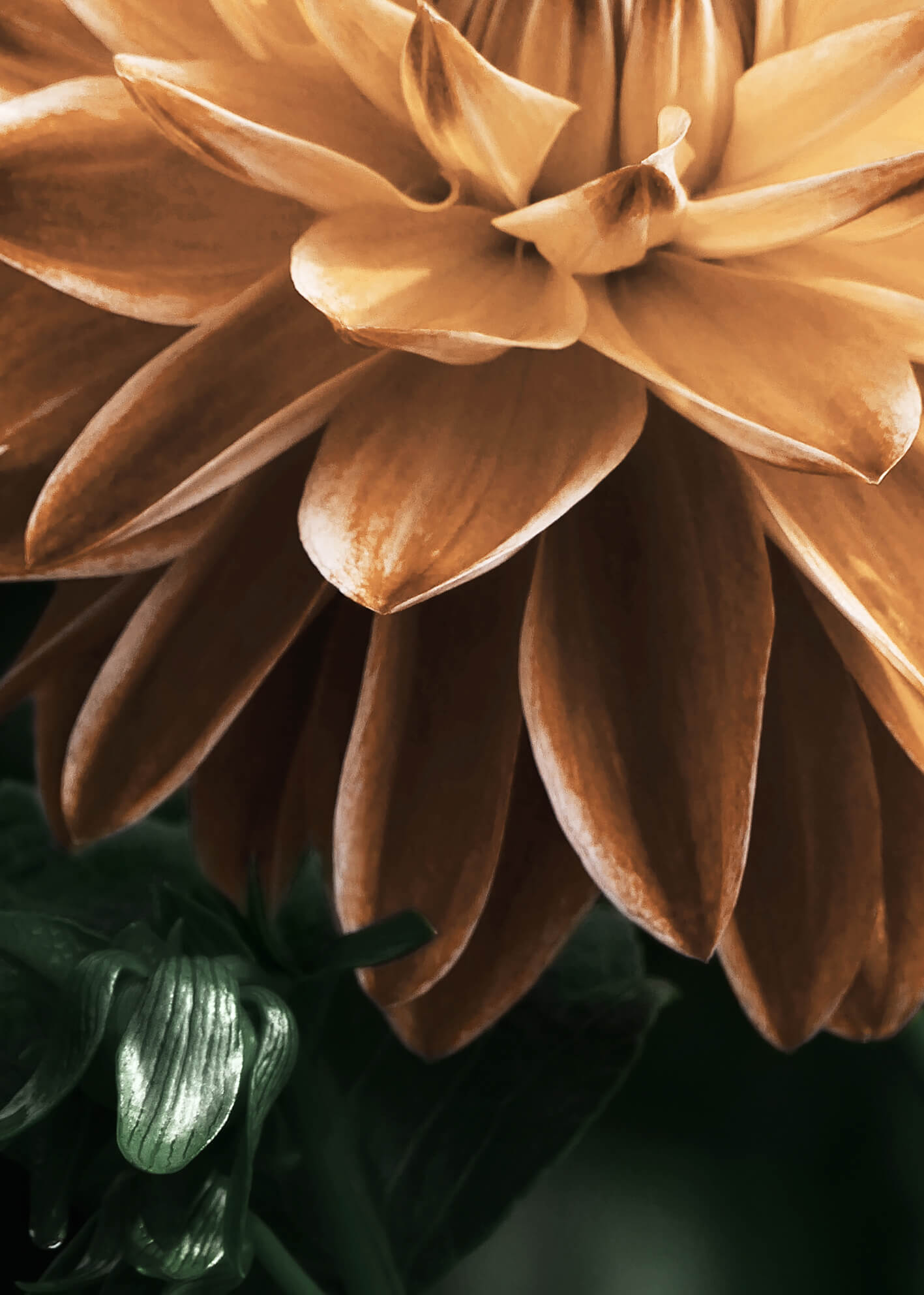 Ljuddämpande tavla - Dahlia
