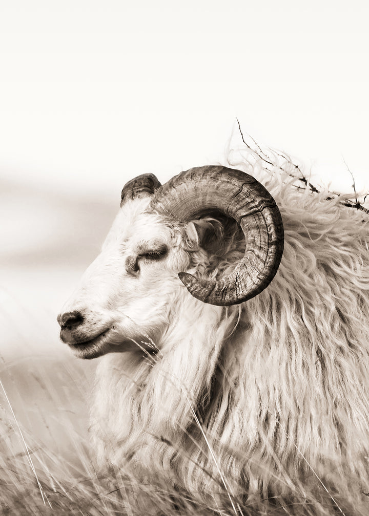 Ljuddämpande tavla - Aries