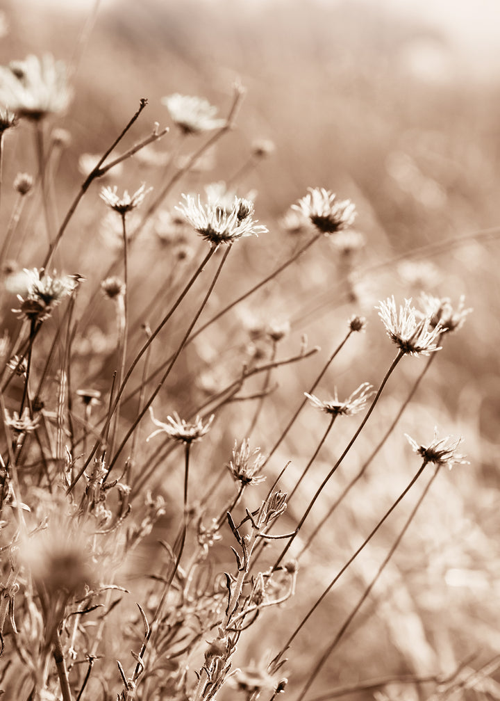 Ljuddämpande tavla - Fall Flowers