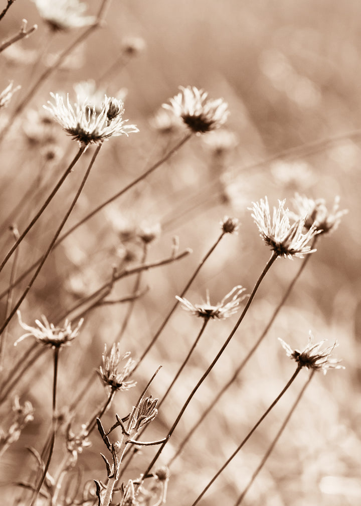 Ljuddämpande tavla - Fall Flowers