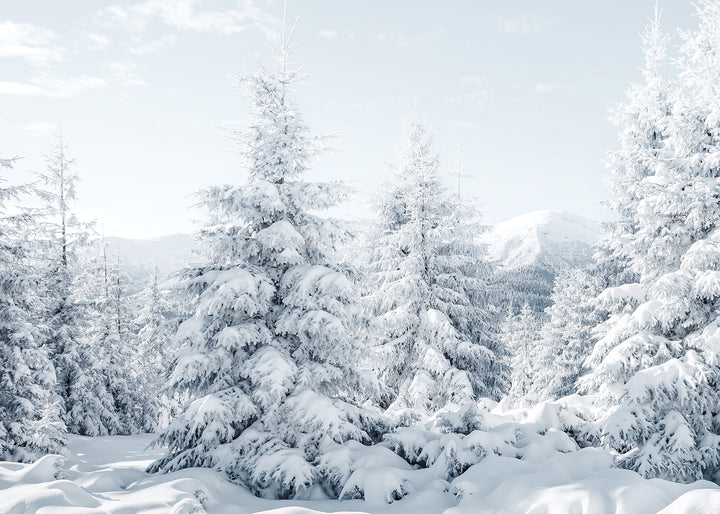 Ljuddämpande tavla - Spruces in Winter