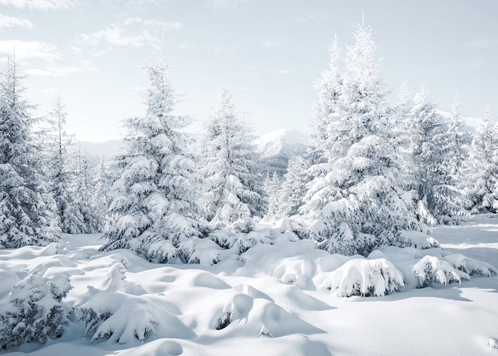 Ljuddämpande tavla - Spruces in Winter