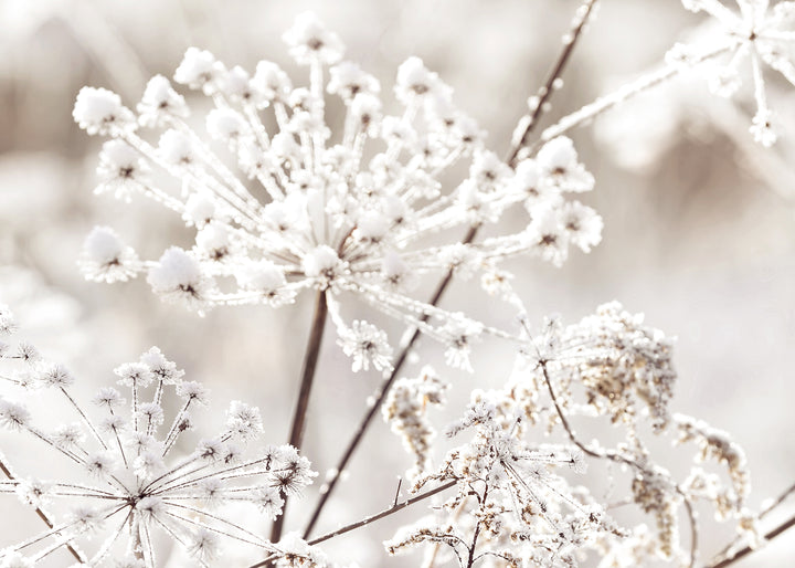 Ljuddämpande tavla - Frozen Branches