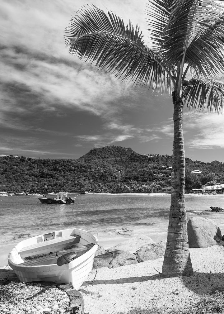 Ljuddämpande tavla - West Indies
