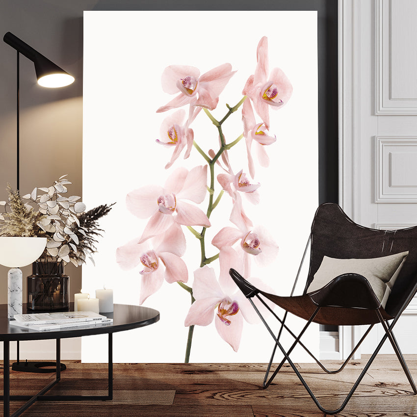 Ljuddämpande tavla - Pink Orchids