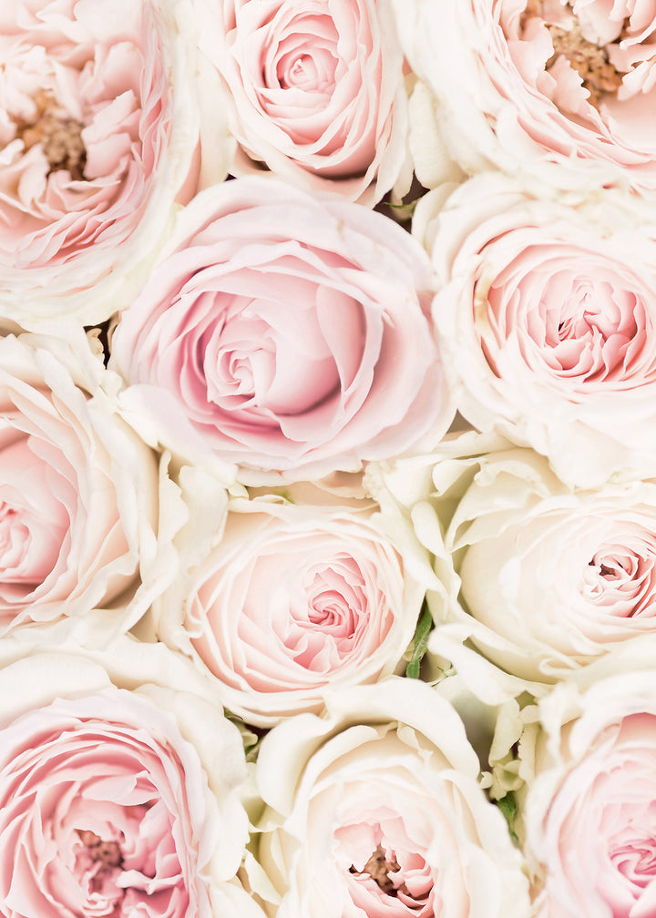 Ljuddämpande tavla - Pink Roses