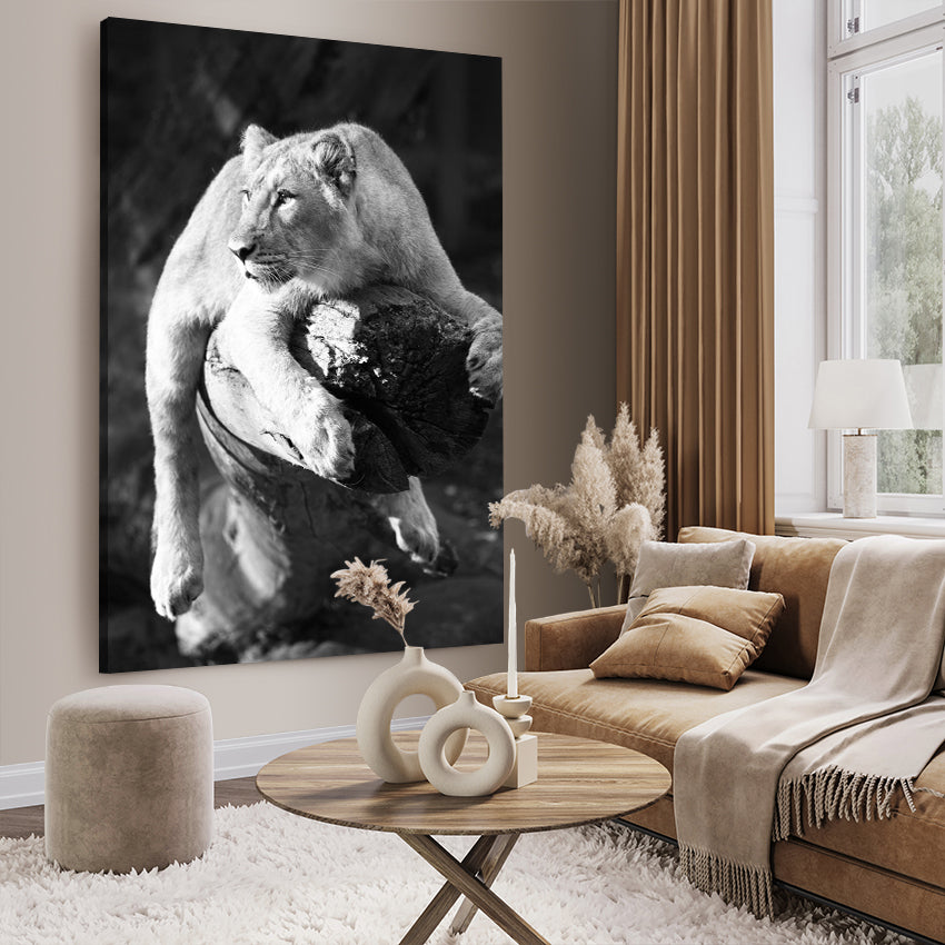 Ljuddämpande tavla - Lurking lion - Lejon