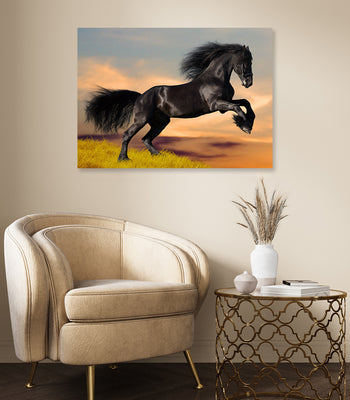 Ljuddämpande tavla - Black beauty - Häst