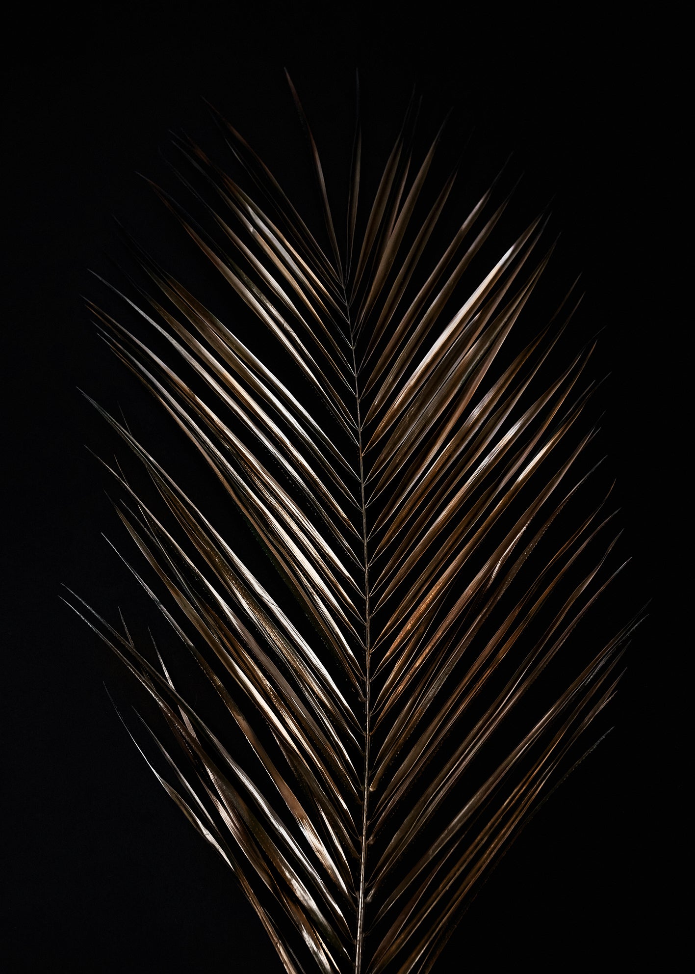 Ljuddämpande tavla - Areca