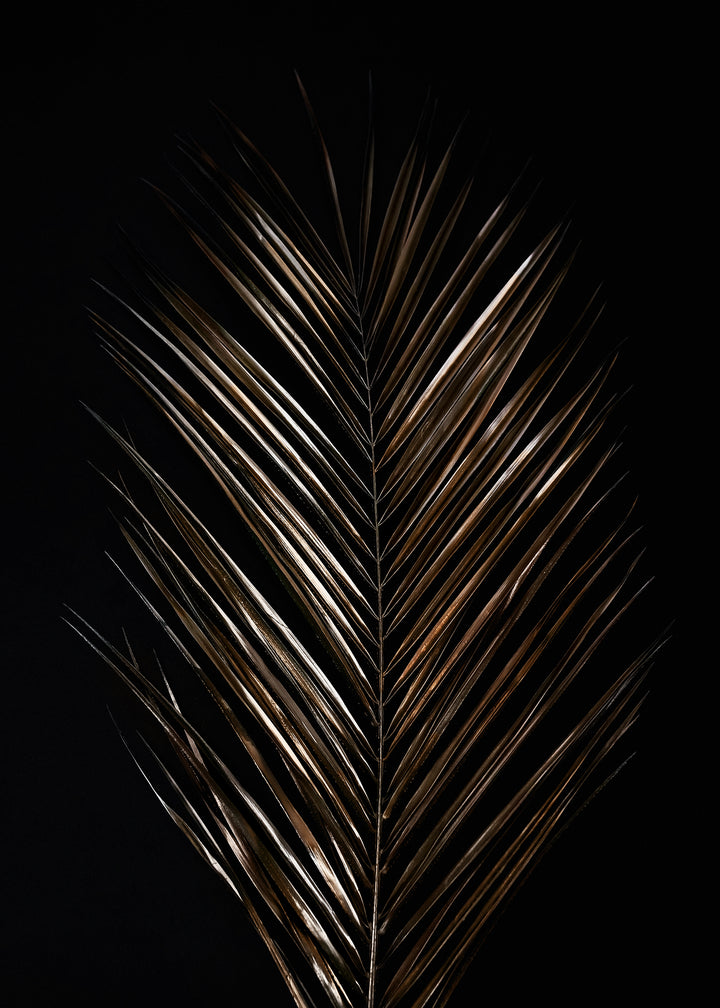 Ljuddämpande tavla - Areca