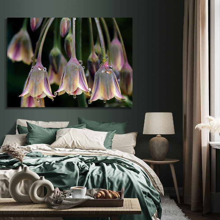 Tavla - Tulipa