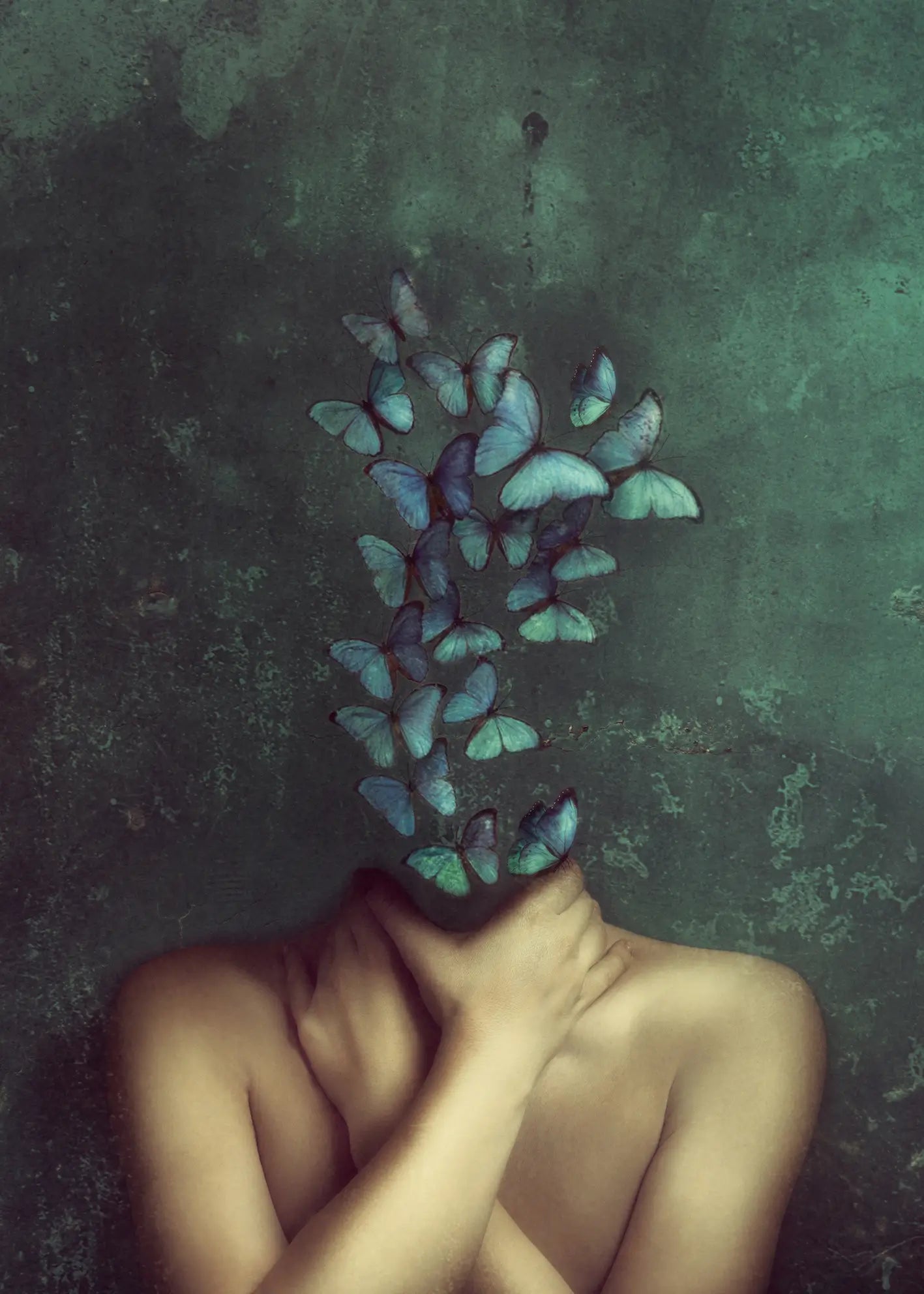 Canvastavla - Metamorphosis of Mind