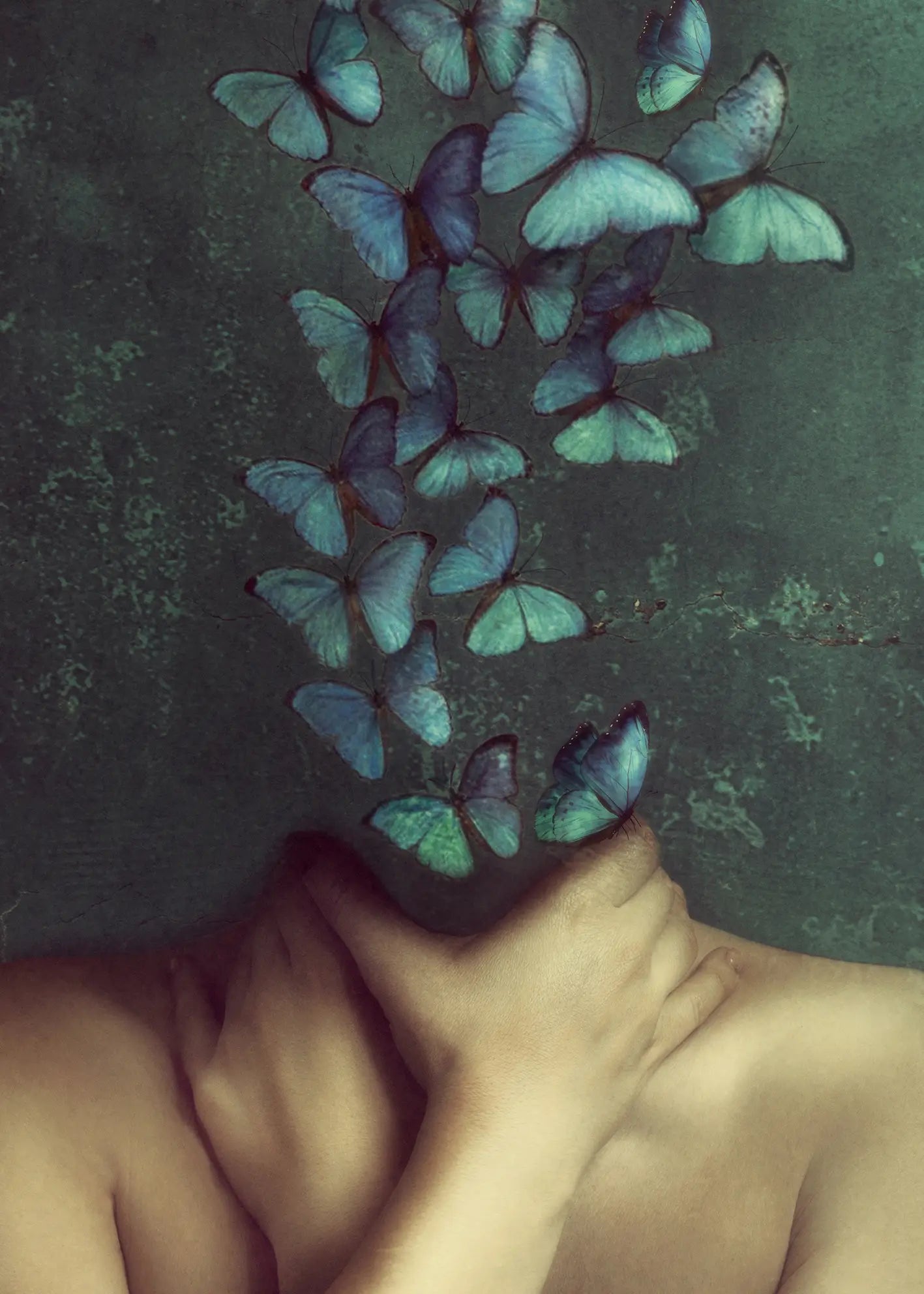 Canvastavla - Metamorphosis of Mind