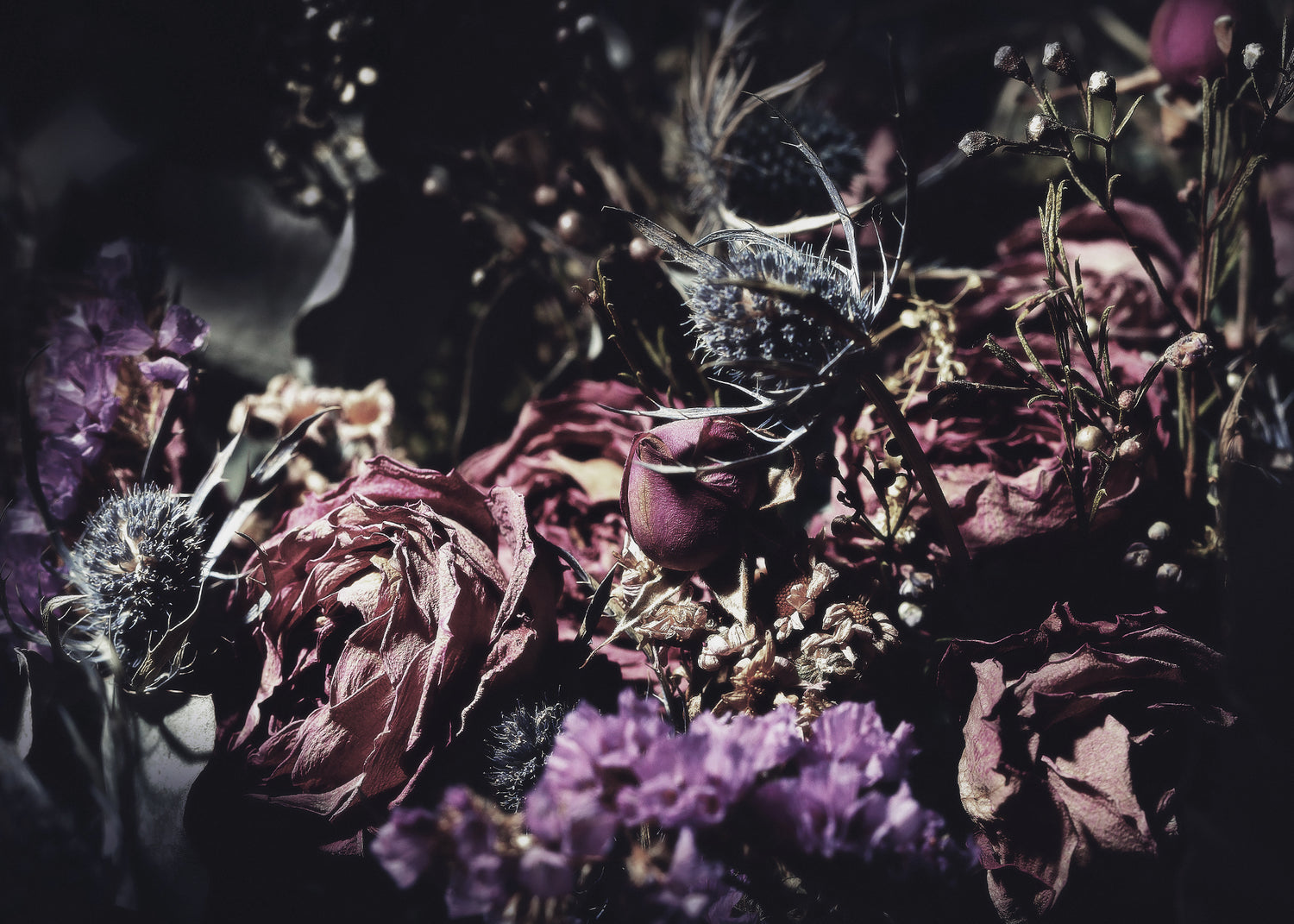 Canvastavla - Wild Rose