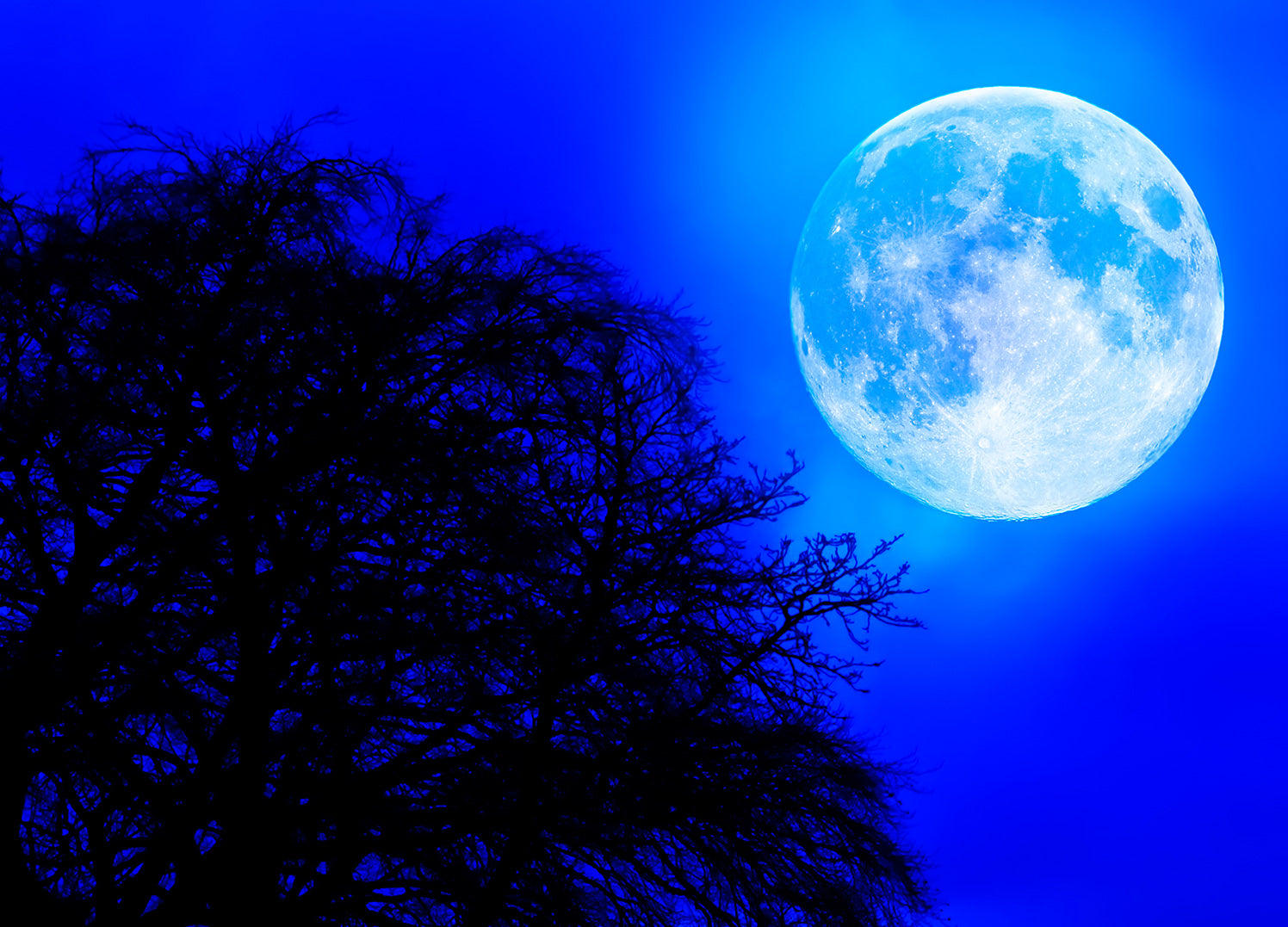 Canvastavla - Blue Night