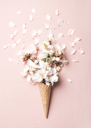 Canvastavla - Flower Cream