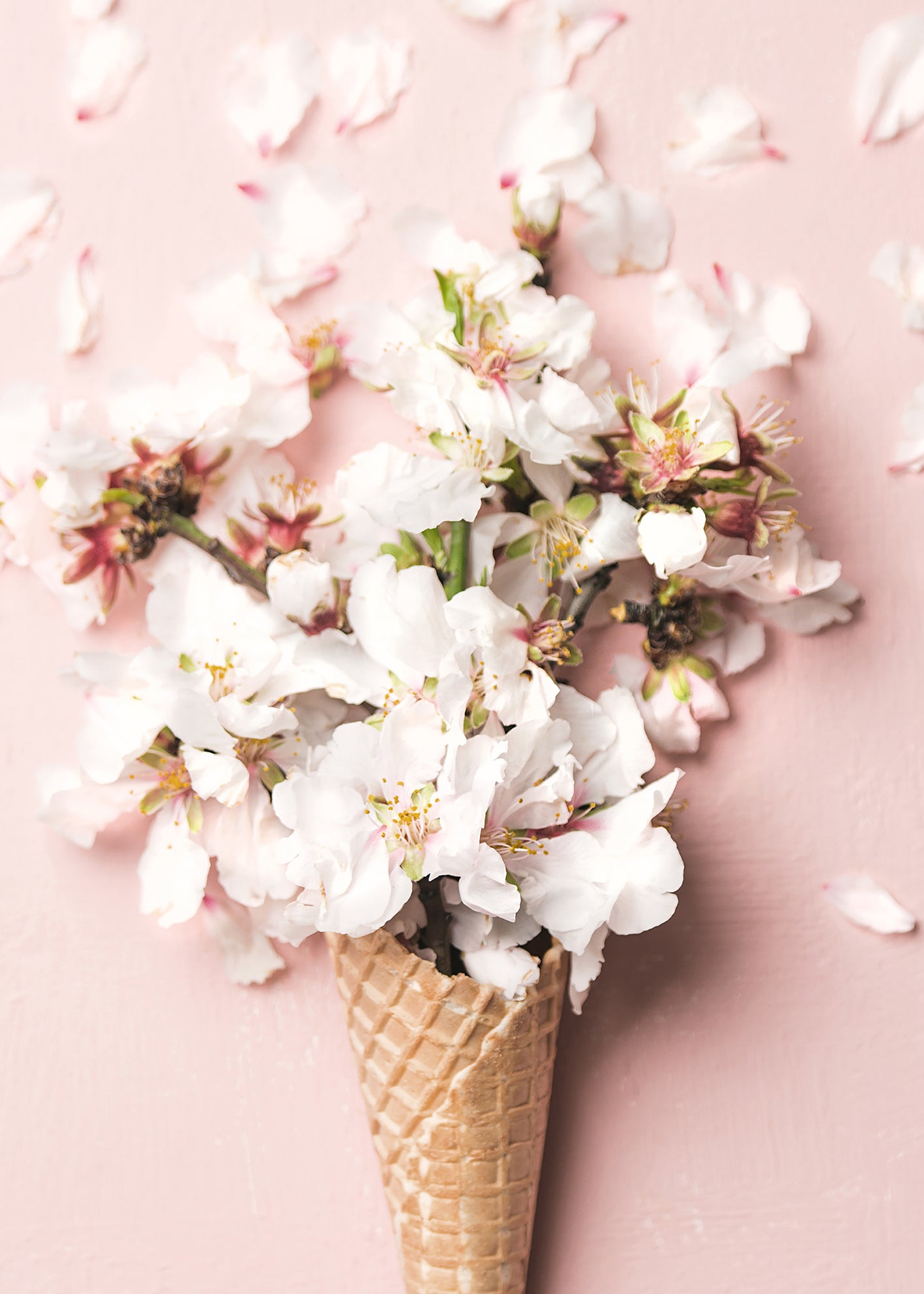 Canvastavla - Flower Cream