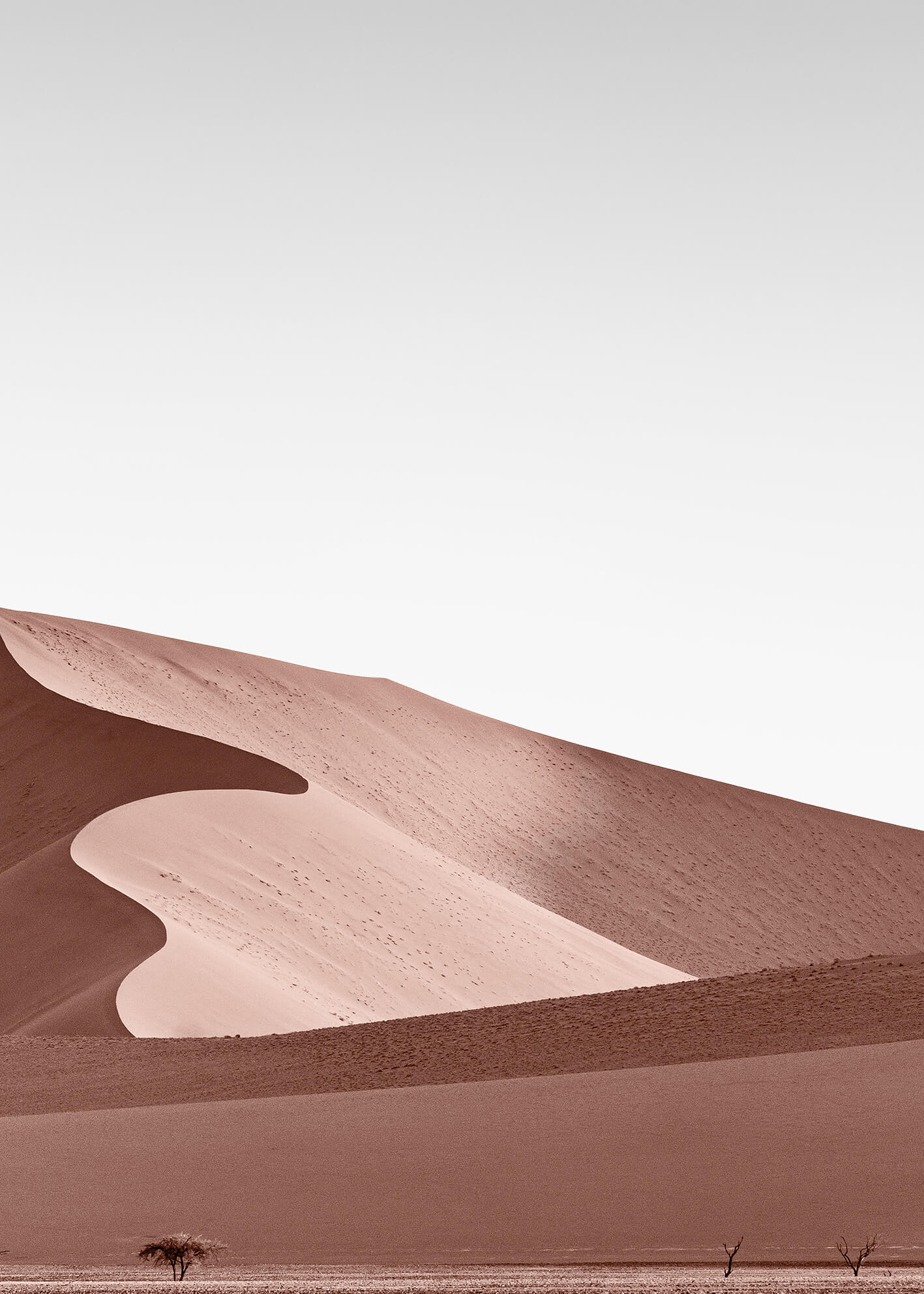 Canvastavla - Sahara