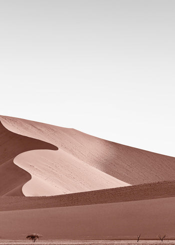 Canvastavla - Sahara