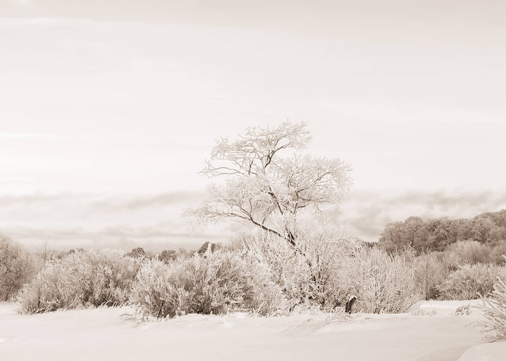 Ljuddämpande tavla - White Snow