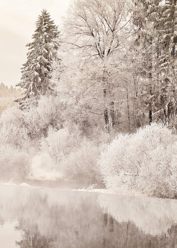 Ljuddämpande tavla - Trees in Winter