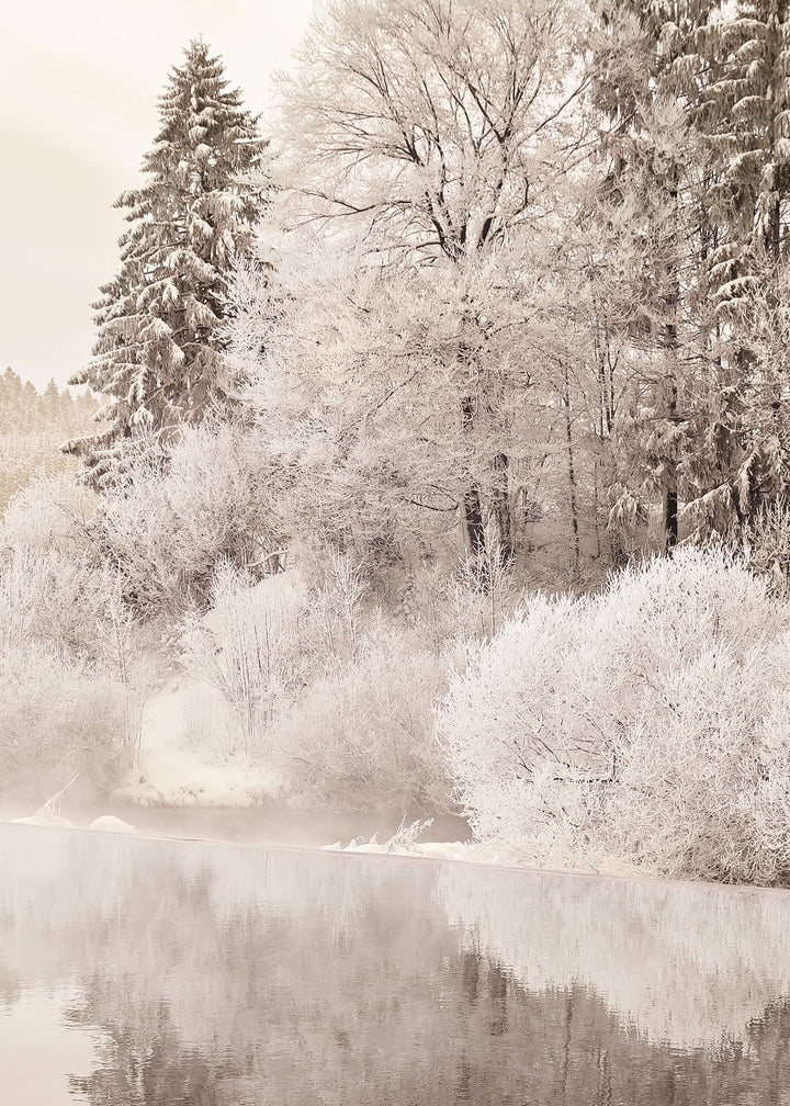 Ljuddämpande tavla - Trees in Winter