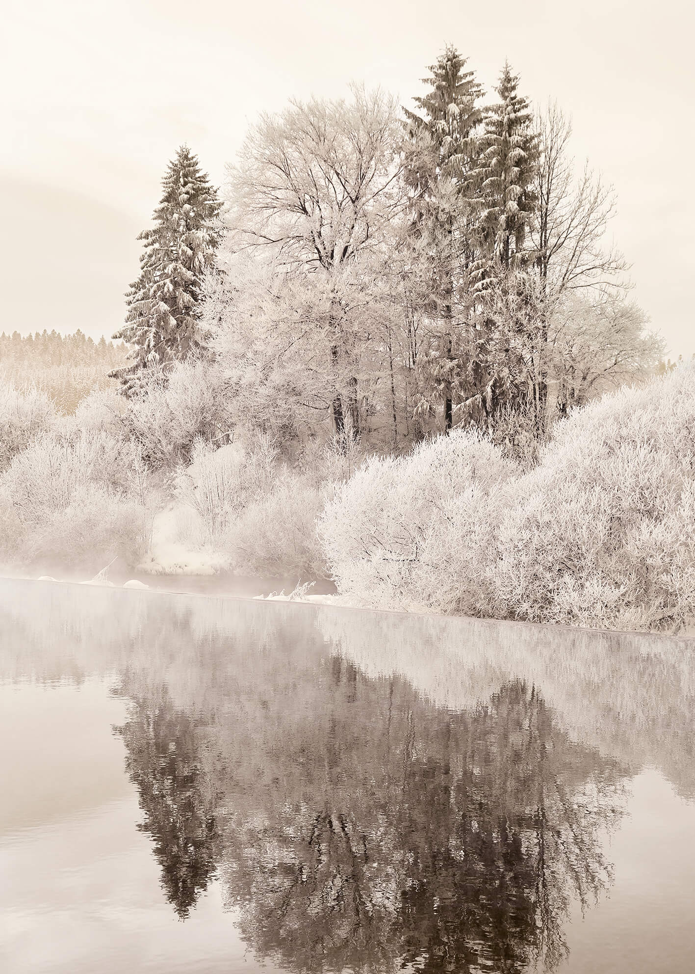 Ljuddämpande tavla - Trees in Winter