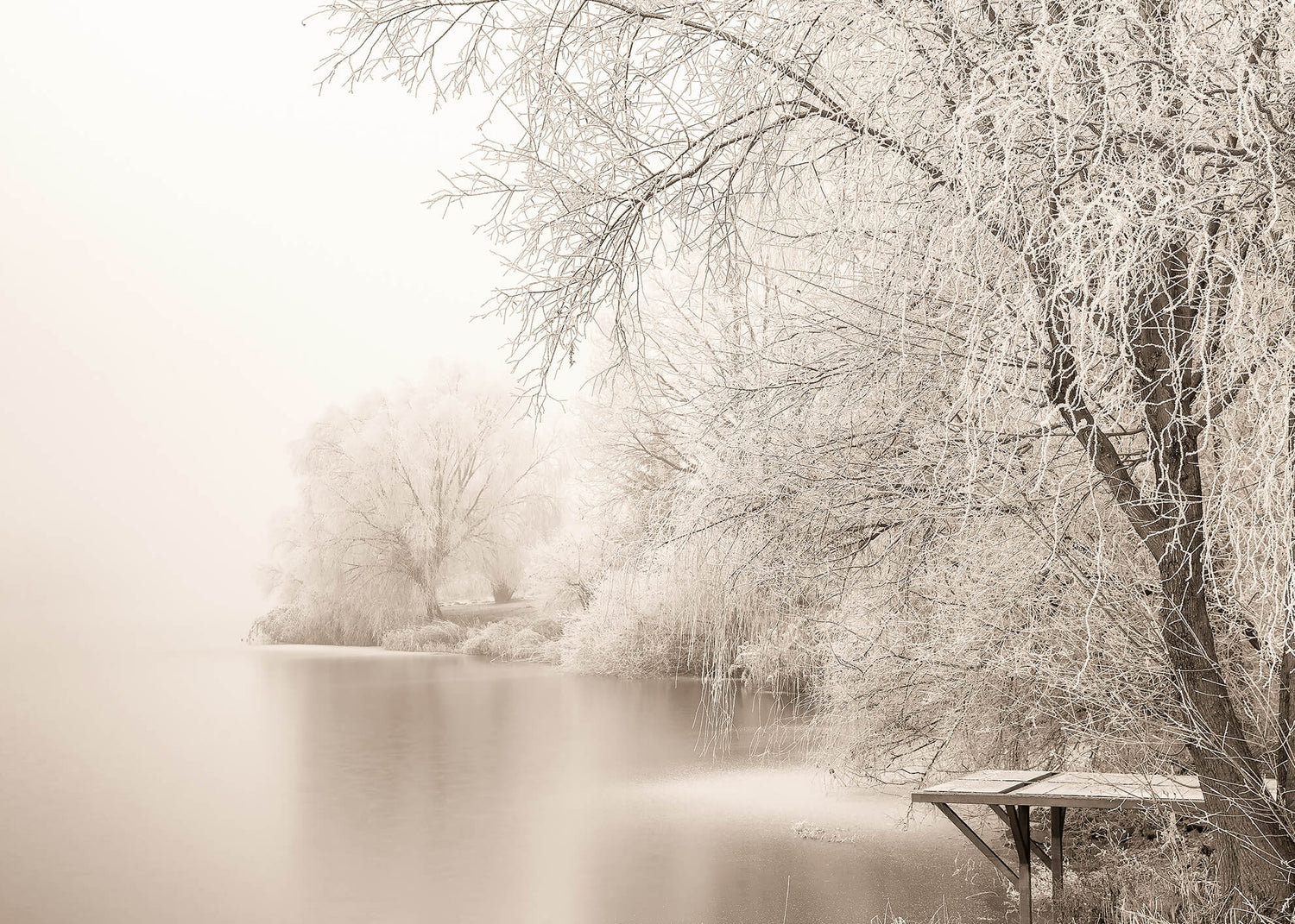 Ljuddämpande tavla - Frozen Tree