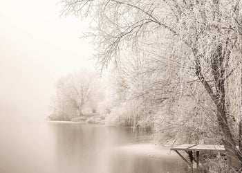 Ljuddämpande tavla - Frozen Tree